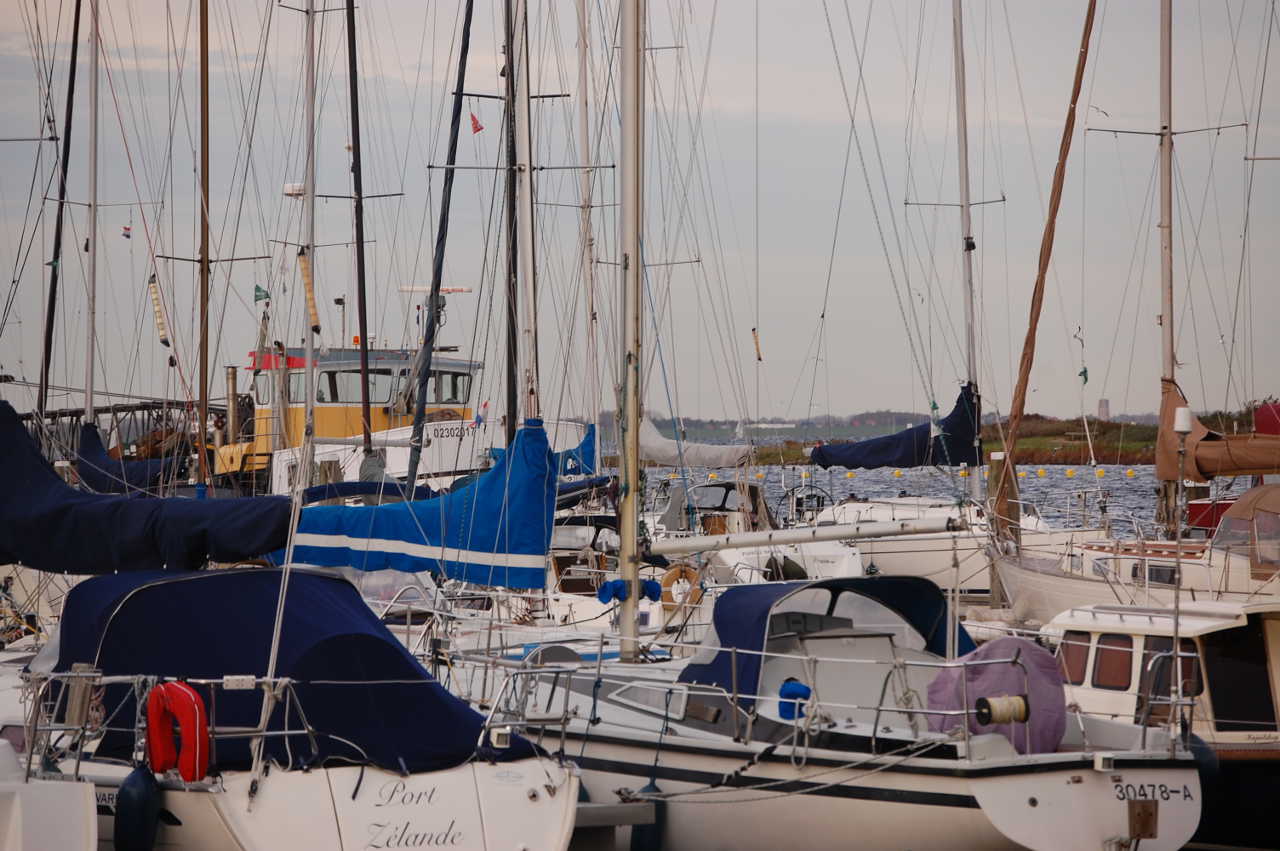 Schiffe in Port Zélande